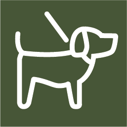 Indicates whether Dogs are welcome at this facility. Dog Friendly